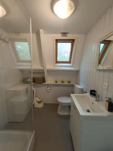 デュルビュイにあるSunclass Durbuy huisje 39のバスルーム(洗面台、トイレ、窓付)
