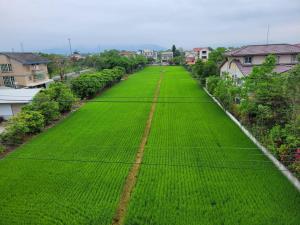 Vườn quanh 敘時光行旅 Telling Story House