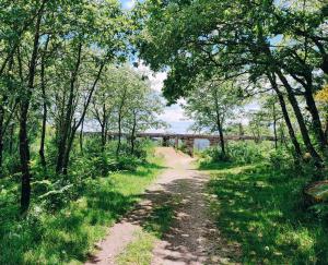 un camino de tierra con árboles y un puente en el fondo en Casa dos Côtos., en Castro Laboreiro