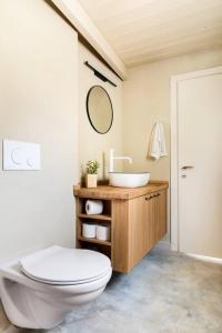 a bathroom with a toilet and a sink at בית בהר- בקתה יפיפיה בקצה הגלבוע in Sede Terumot