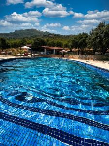a large swimming pool with blue water at Hotel Resort Hípico El Hinojal in Montánchez