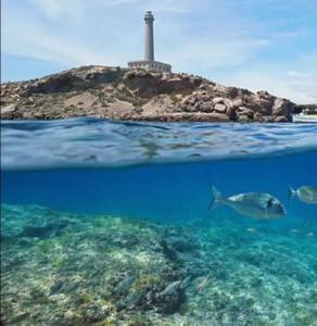 un phare sur une petite île avec des poissons dans l'eau dans l'établissement Apartamento jardin del mar 7.5, à La Manga del Mar Meno