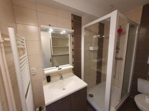 a bathroom with a sink and a shower and a mirror at Le Drapeau : Apt 2 Personnes, 1 ch, avec Balcon in Dijon