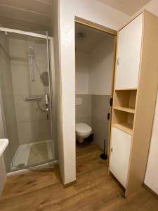ブイヨンにあるAux 4 chaletsのバスルーム(シャワー、トイレ付)