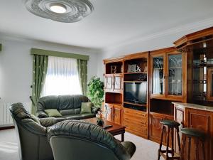 - un salon avec un canapé et une télévision dans l'établissement Apartamento do Castelo, à Melgaço