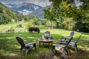 a group of chairs and a table and a cow in a field at La Ferme du Cortet - OVO Network in Thônes