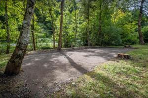 a large dirt area in the middle of a forest at La Ferme du Cortet - OVO Network in Thônes