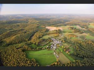 an aerial view of a park with trees and buildings at La Boutique Naturelle in Vresse-sur-Semois