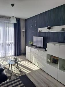 Televízia a/alebo spoločenská miestnosť v ubytovaní Studio Zabobrze