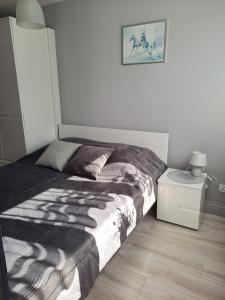 Posteľ alebo postele v izbe v ubytovaní Studio Zabobrze