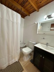ein Badezimmer mit einem WC, einem Waschbecken und einem Duschvorhang in der Unterkunft Dúplex centrico in San Martín de los Andes