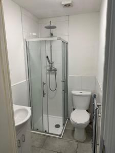 a bathroom with a shower and a toilet and a sink at Coventry City House - Room 2 in Coventry