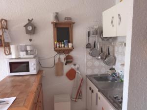 una piccola cucina con lavello e microonde di Studio au cœur du Sauze a Enchastrayes