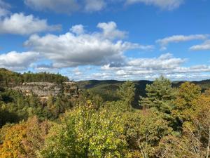 a view of the forest from the top of a mountain at Cozy Log Tiny Cabin in Red River Gorge! in Campton