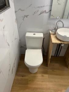 ein Badezimmer mit einem weißen WC und einem Waschbecken in der Unterkunft Villa Botanique - Maison avec jardin in Villers-lès-Nancy