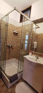 a bathroom with a shower and a toilet and a sink at Apartmani Nata in Maslinica