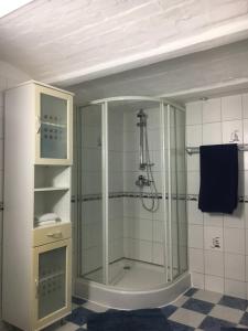 bagno con doccia e porta in vetro di Ferienwohnung "Haaler Au" 