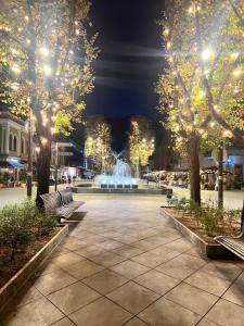 un parc avec des arbres et une fontaine la nuit dans l'établissement Arena apartment, à Kaunas