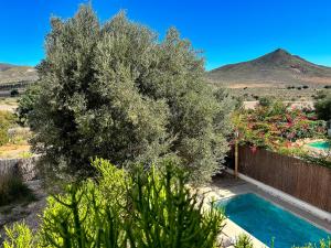 un jardín con un árbol y una piscina en Villa Filon en Rodalquilar