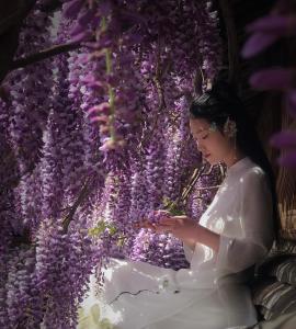 麗江市にある吾爱堂の紫の花の壁前に座る女性
