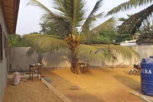 a palm tree in a dirt yard with a table at Ouidah Lodge in Ouidah
