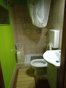 a green bathroom with a toilet and a sink at Villa Carolina in Fara San Martino