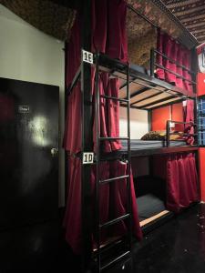 Ένα ή περισσότερα κρεβάτια σε δωμάτιο στο House of Lion Hostel