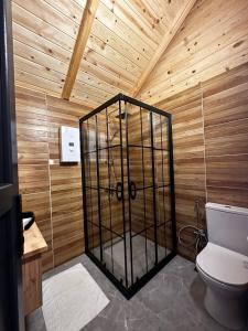 a bathroom with a toilet and a wooden ceiling at HiraBungalov in Çamlıhemşin