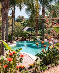 une piscine dans un jardin planté de palmiers dans l'établissement Cannes Villa St Barth, à Cannes