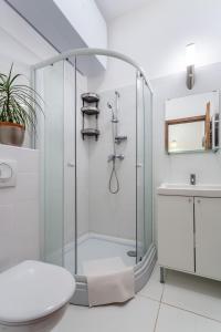 a glass shower in a bathroom with a sink at Central Avenue Apartment in Budapest