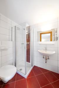 a bathroom with a shower and a toilet and a sink at am mühlbach - einfach sein in Dorfgastein