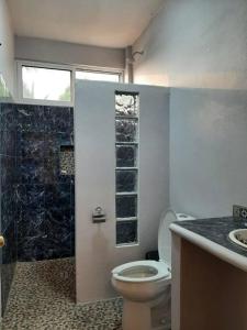 a bathroom with a toilet and a shower and a sink at La Isla Bonita - Departamento en la Punta in Puerto Escondido