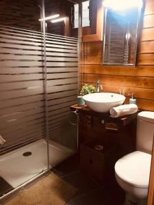 a bathroom with a shower and a toilet and a sink at Cozy Mountain Chalet in La Orotava