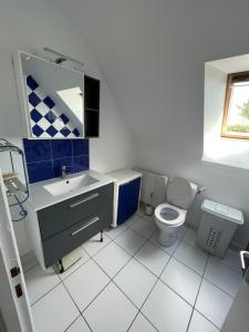 a bathroom with a toilet and a sink and a mirror at Brittany Beach Home Gavres - Morbihan in Porh-Guer