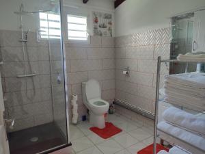ein Badezimmer mit Toilette und Glasdusche in der Unterkunft Villa de la montagne in Pointe-Noire + 22 Fotos