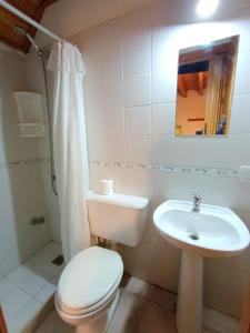 a white bathroom with a toilet and a sink at Dormi del Pellin in San Martín de los Andes