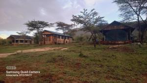 a group of houses in a field with trees at Sonkoi Tent Safari Camp in Narok