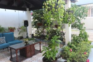 a patio with a blue couch and some plants at El Jardin de la Nonna in San Pedro Sula