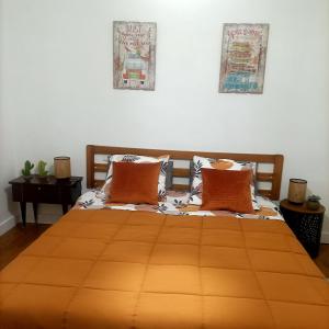 ein Schlafzimmer mit einem großen orangenen Bett mit zwei Kissen in der Unterkunft Pierre de lune in Descartes