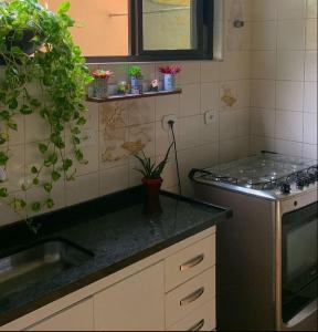 una cocina con fregadero y una barra con plantas en Alma de Maré Hostel, en Guarujá