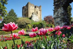 Ein paar rosa Blumen vor einem Schloss in der Unterkunft Modern 3 bedroom home in Guildford. Sleeps 8 in Guildford