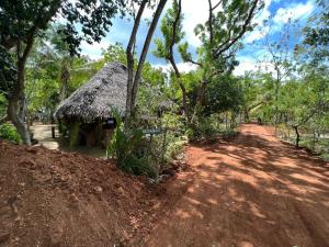 eine kleine Hütte auf einer unbefestigten Straße neben Bäumen in der Unterkunft Kirushna in Arugam Bay