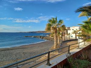a beach with palm trees and the ocean at Playalaseras in Las Eras