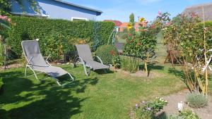zwei Gartenstühle mit Pflanzen in der Unterkunft Ferienwohnung Leitzsch in Wustrow