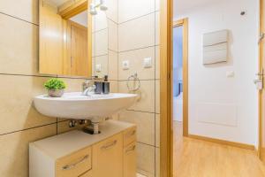 un bagno con lavandino e specchio di Penthouse Pyrinees , Terrace , Parking & Storage a Sabiñánigo Altre 32 foto