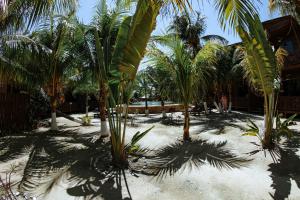 Zahrada ubytování Coconut by ÓOL Hotels