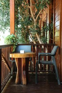 une table en bois et une chaise à côté d'un arbre dans l'établissement Cabañas Coconut by MIJ, à Holbox