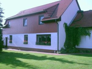 a house with two windows with flowers in them at Pension am Hasenberg in Markische Heide
