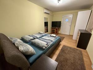 尼賴吉哈佐的住宿－City Apartman，一间带两张床和一张沙发的客厅