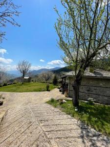 ein Haus mit einem Baum neben einer Auffahrt in der Unterkunft Παραδοσιακή πέτρινη κατοικία στην Βλάχα Ελάτης in Vlácha